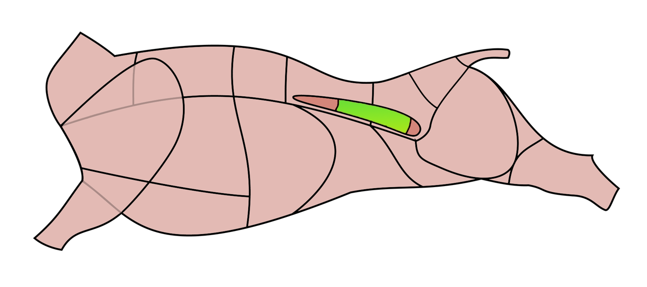 Части вырезки свинины. Схема разруба туши говядины. Огузок оковалок кострец. Корова разруб туши. Разруб свиной туши на части.